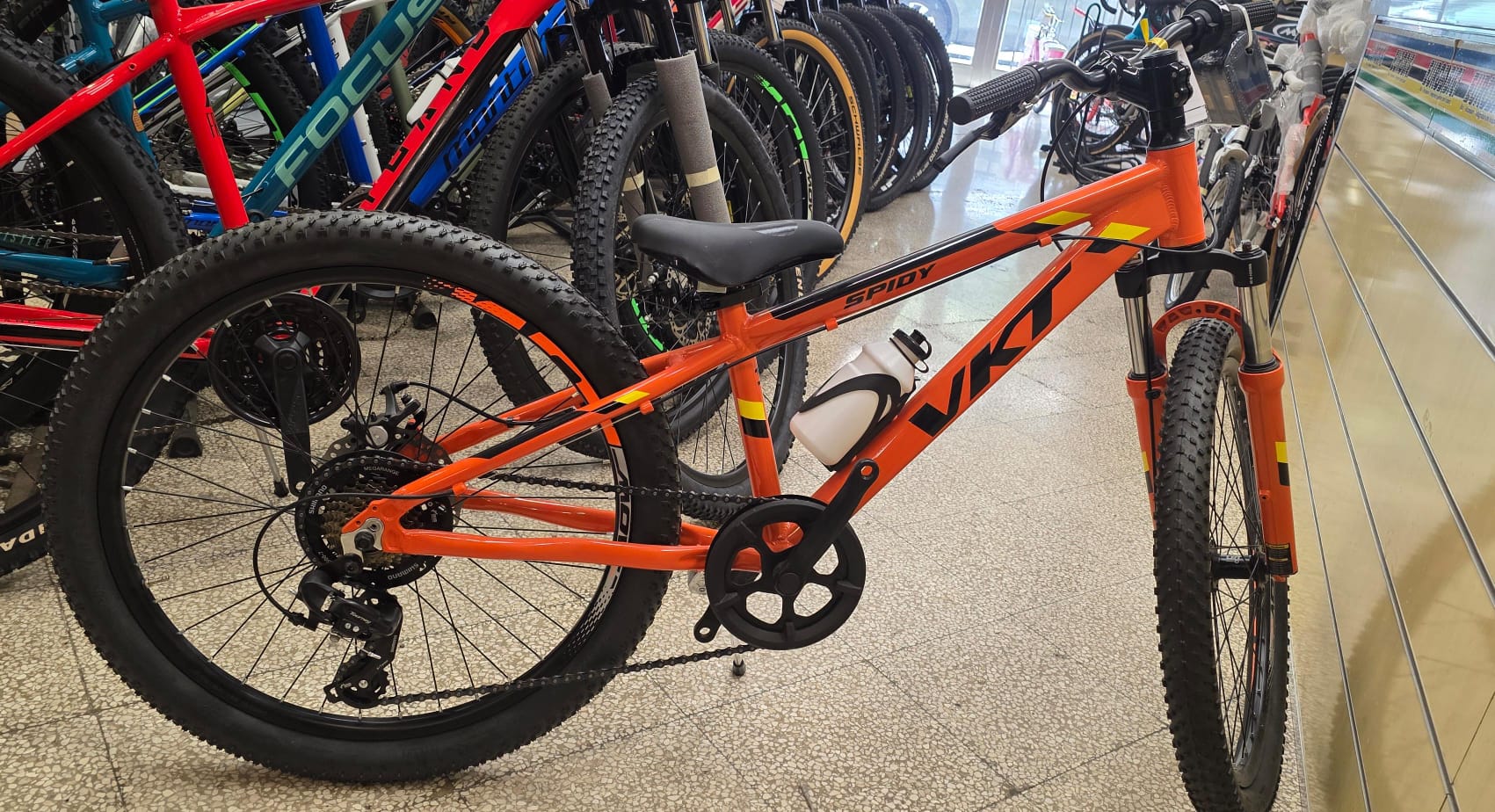 BICI MONTANA SPIDY 24