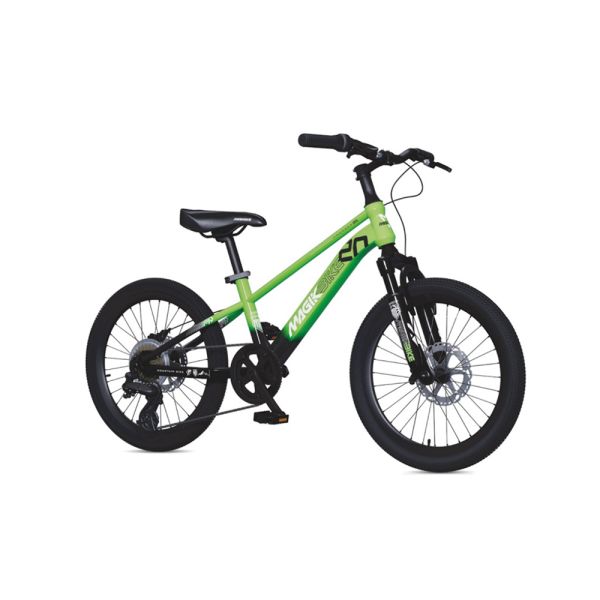 BICI THUNDER 20