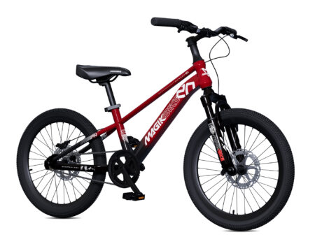 BICI THUNDER 20